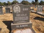 DLAMINI Eric 1976-2003