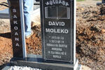SAKOANA David Moleko 1975-2012