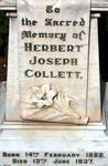 COLLETT Herbert Joseph 1858-1937