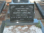 GREYLING Hester Carolina 1907-1998