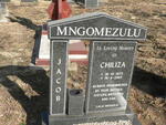 MNGOMEZULU Chiliza 1973-2007