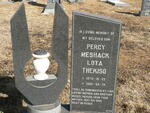 THEKISO Percy Meshack Lota 1970-2001