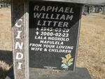 CINDI Raphael William Litter 1945-2000