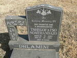 DHLAMINI Tshegofatso Nomthandazo 2004-2004