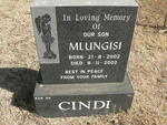CINDI Mlungisi 2002-2002