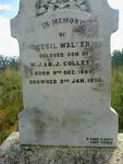 COLLETT Cecil Walter 1886-1896