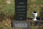 BAMBERGER Carel Arnoldus 1937-1999