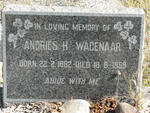 WAGENAAR Andries H. 1882-1959