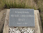 HIGGS Michael Christopher 1951-