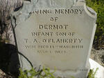 O'FLAHERTY Dermot 1881-1881