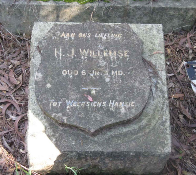 WILLEMSE H.J.