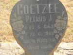 COETZEE Petrus J. 1969-1969