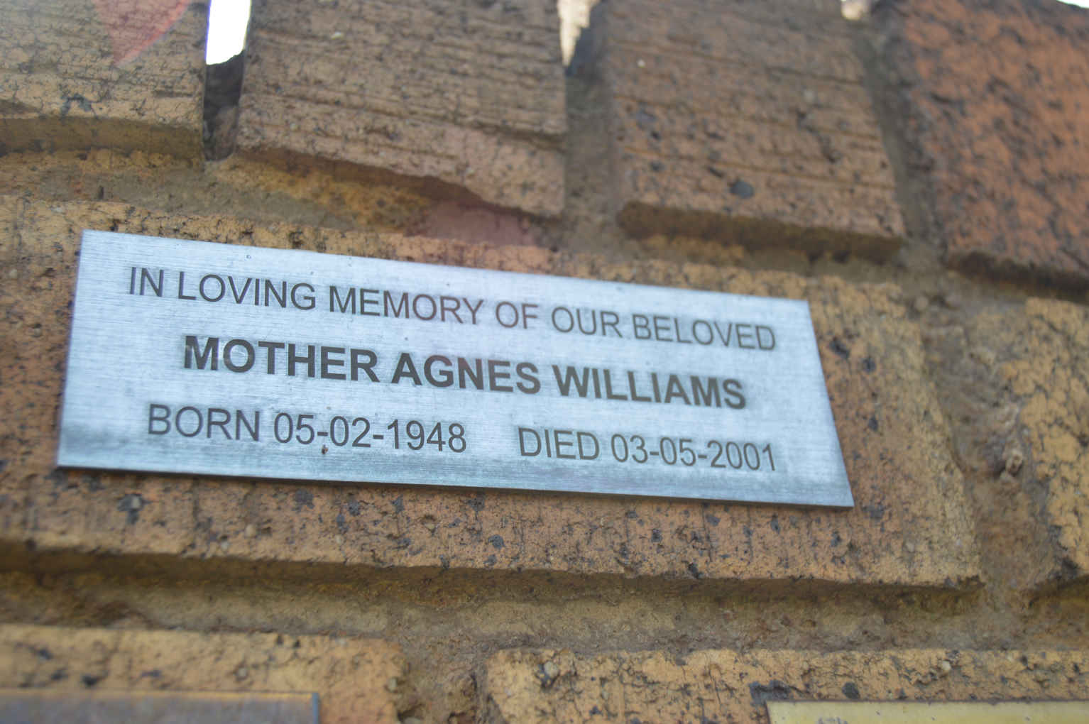 WILLIAMS Agnes 1948-2001