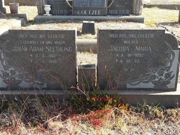 NEETHLING Johan Adam 1887-1968 & Jacoba Maria 1892-1969