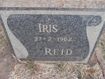 REID Iris -1962