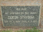 STRYDOM Gideon 1894-1955