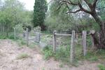 Eastern Cape, ALBANY district, Koodoo Kop 211, Trompettersdrif, farm cemetery