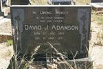 ADAMSON David J. 1897-1971