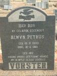 VORSTER Alwyn Petrus 1909-1961