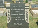 AYRES Alfred 1915-1966