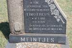 MEINTJES Timotheus 1898-1970