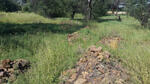 Gauteng, WESTONARIA district, Jachtfontein 344 IQ, rural cemetery_2