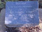 BUCKLE Baby 1944-1944