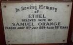 ORANGE Ethel -1954