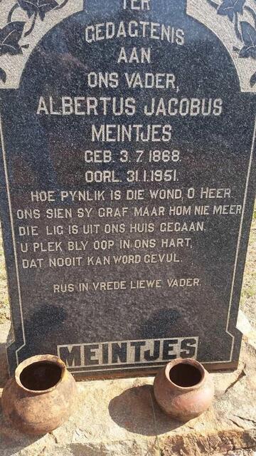MEINTJES Albertus Jacobus 1868-1951