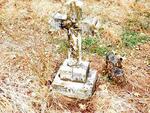 Kwazulu-Natal, UNDERBERG district, FP 261 7523, Boughton Colemers, single grave