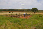 Limpopo, WATERBERG district, Doornkom 376, farm cemetery_4
