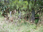 North West, LICHTENBURG district, Koppiesfontein 87 IP, farm cemetery