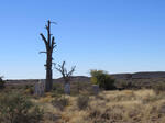 Northern Cape, VICTORIA WEST district, Biesjesfontein 186, Besterskraal, farm cemetery