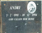 ? Andri 1991-1994