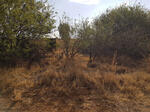 Limpopo, MOKOPANE district, Ga-Shongwane, Kaapsvlakte 488, farm cemetery