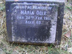 OGLE Maria -1951