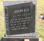 JOOSTE Joseph Alie 1948-1975 :: JOOSTE Joey 1948-1975 :: JOOSTE Allen 1952-1997