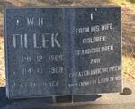 TILLEK W.H. 1908-1989