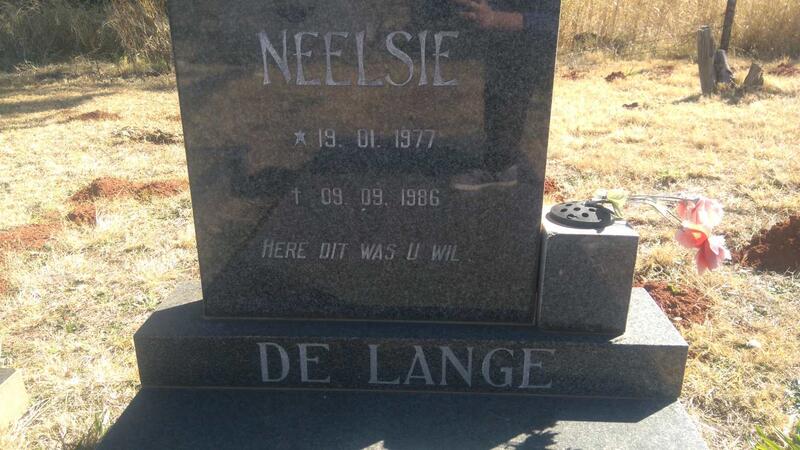 LANGE Neelsie, de 1977-1986