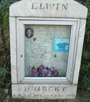 JOUBERT Elwin 1975-1999