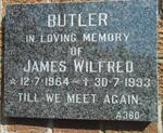BUTLER James Wilfred 1964-1993