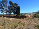 Western Cape, GEORGE district, Langkloof, Eenzaamheid 60, farm cemetery_3