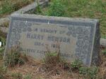 HEWSON Harry 1864-19??