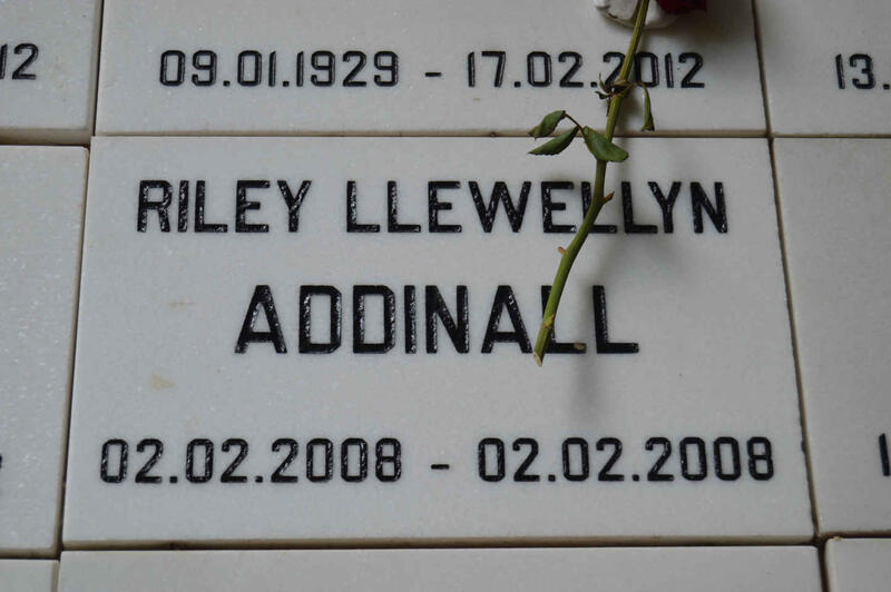 ADDINALL Riley Llewellyn 2008-2008