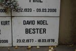 BESTER David Noel 1977-1978