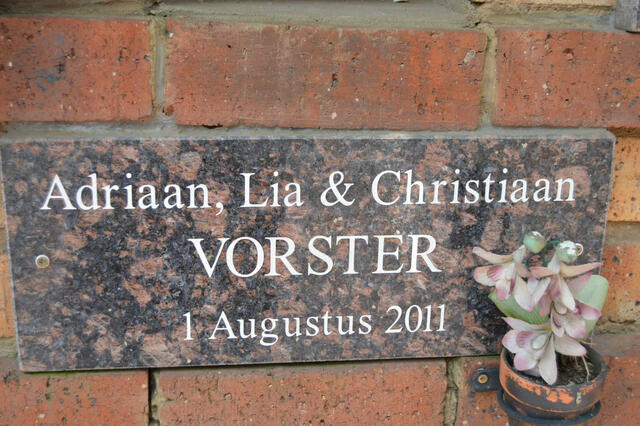 VORSTER Adriaan 2011 :: VORSTER Lia 2011 :: VORSTER Christiaan 2011