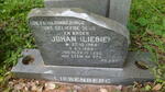 LIEBENBERG Johan 1954-1984