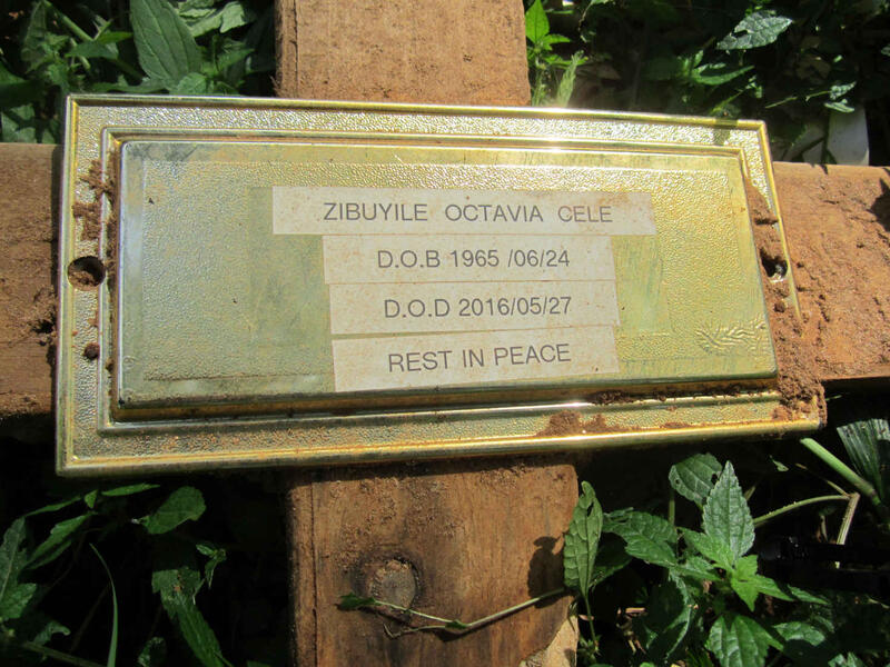 CELE Zibuyile Octavia 1965-2016