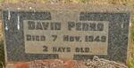 PEDRO David -1949