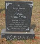 NKOSI Abel Mduduzi 1971-2001